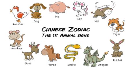 子鼠 丑牛 寅虎 卯兔 辰龙 巳蛇 午马 未羊|Chinese animal zodiac signs